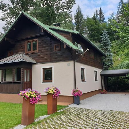 Freeride-Living Villa Annaberg im Lammertal Exterior foto